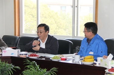 2013年3月18日，时任国家工信部节能司副司长杨铁生一行莅临公司参观指导