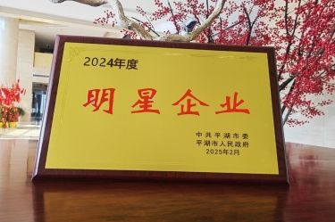 新春新景新气象 | CA88纸业在平湖三干大会上喜摘荣誉！