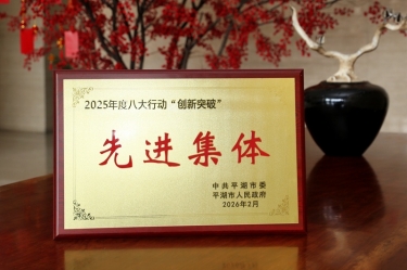 策马扬鞭启新程！CA88纸业在平湖市三级干部大会上荣获“创新突破”双项荣誉